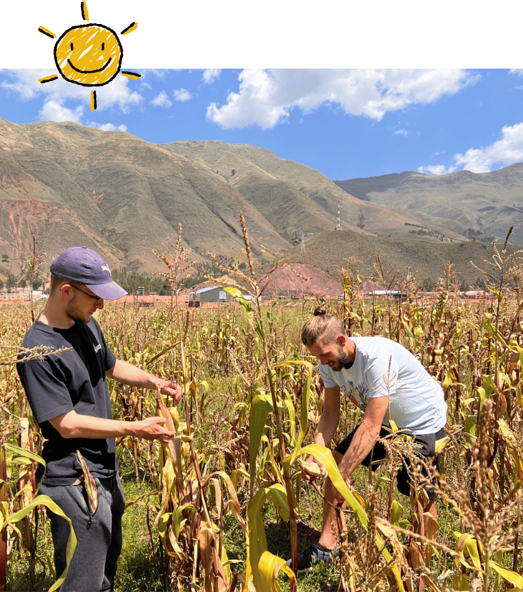 Photo of vegetables in Azul Wasi